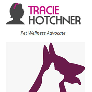 Furlanthropy Helps You Raise Money for Veterinary Costs