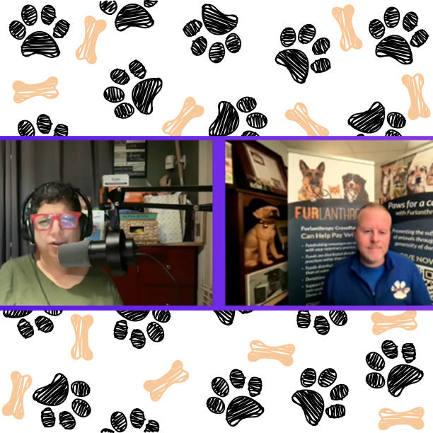 Youtube video!  Dog Gone Positive Podcast